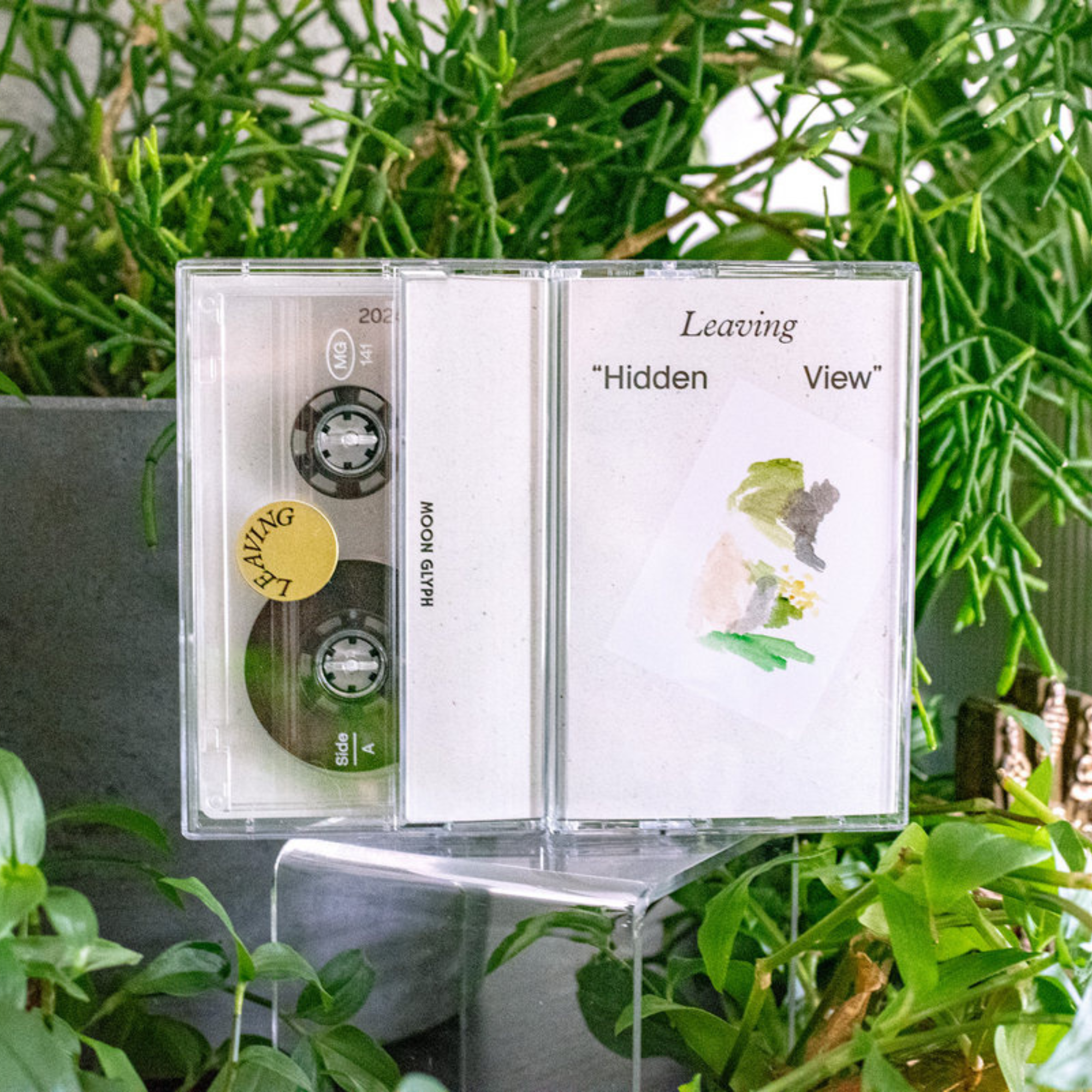 Leaving - Hidden View