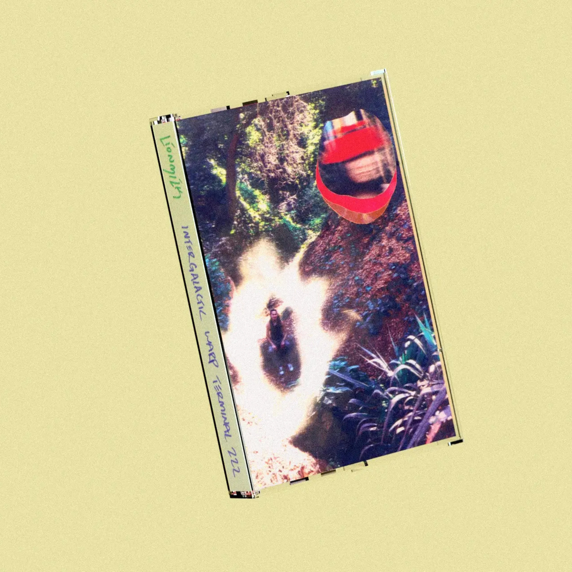 Lionmilk - Intergalactic Warp Terminal 222