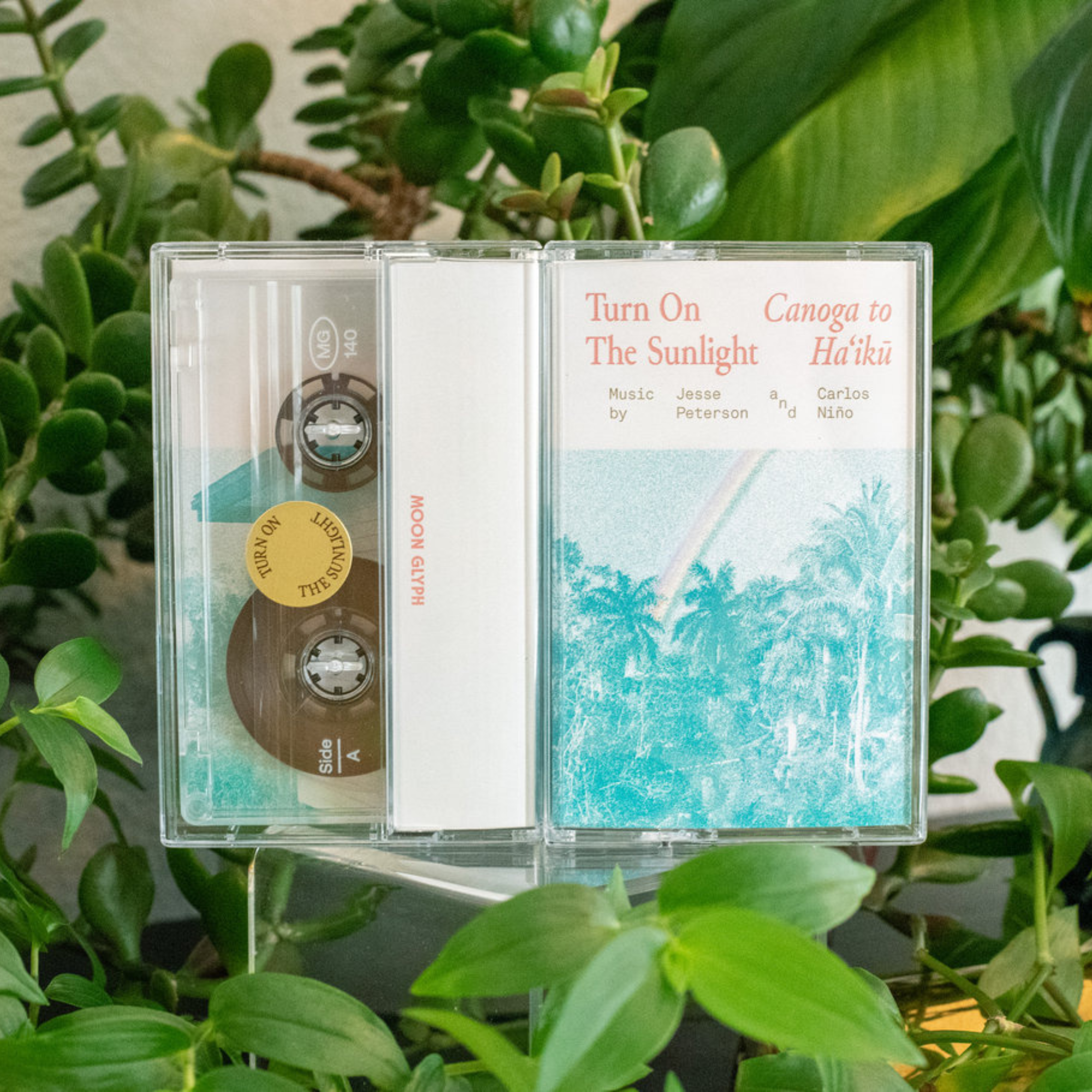 Turn On The Sunlight - Canoga to Haʻikū