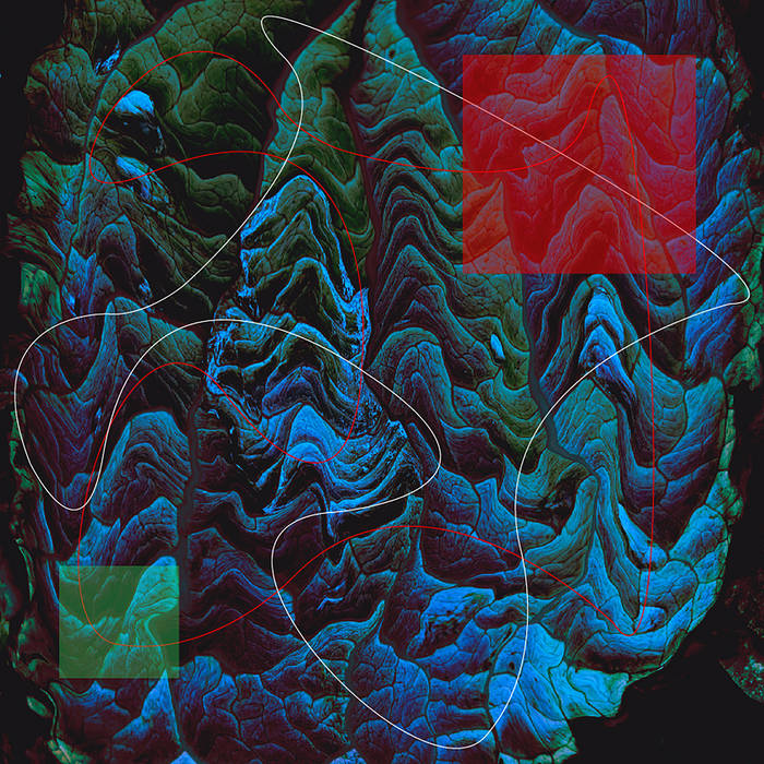 c o m t e - Petra's Stone
