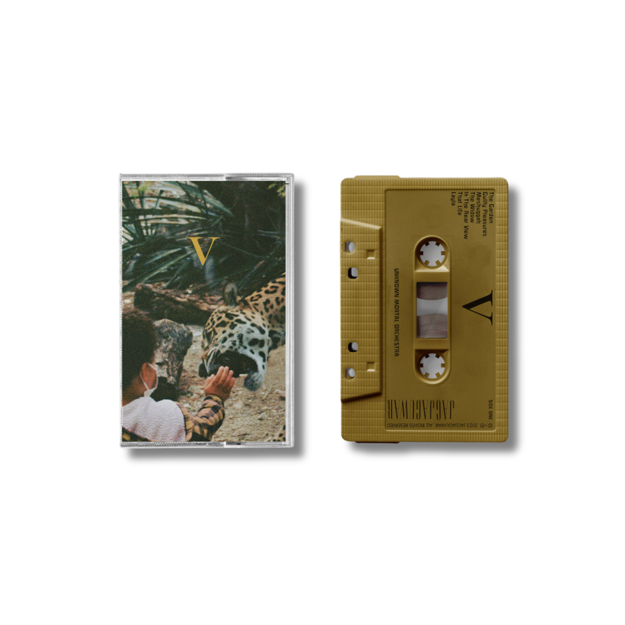 Unknown Mortal Orchestra - V